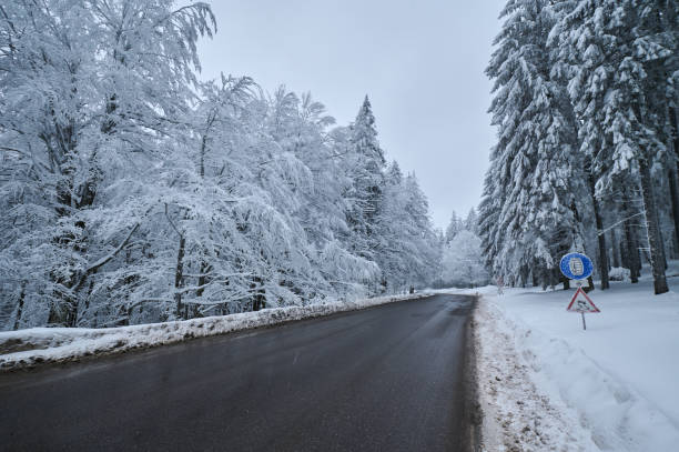 istock winter road in the forest in the mountains 1464489246