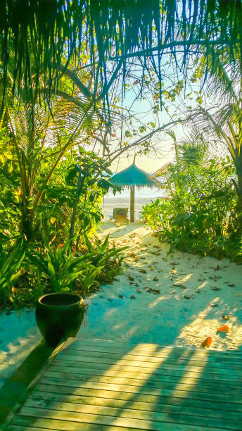 istock Morning sun in the Maldives 1464489532