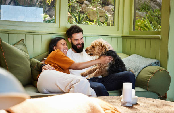 coppia che ride giocando con il loro cane sul divano del loro soggiorno - coppia di giovani foto e immagini stock