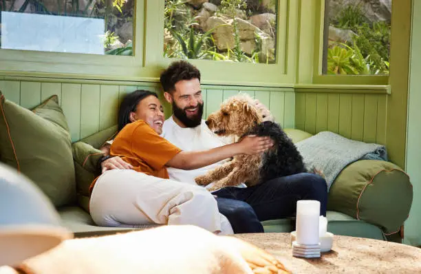 Photo of Laughing couple playing with their dog on their living room sofa