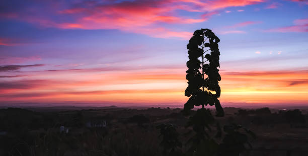 istock Beautiful sunrise in Monsaraz 1464500157