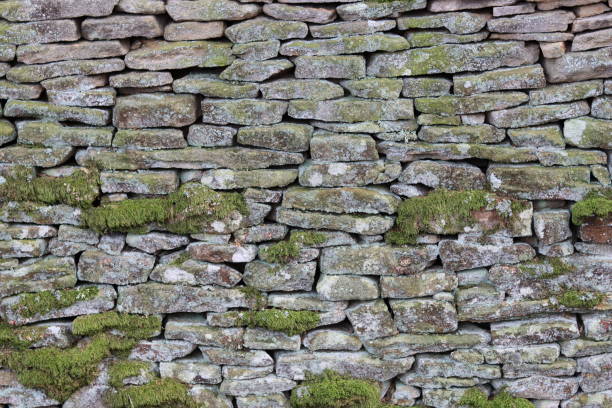 istock Old dry stone wall covered in moss and lichen 1464504095