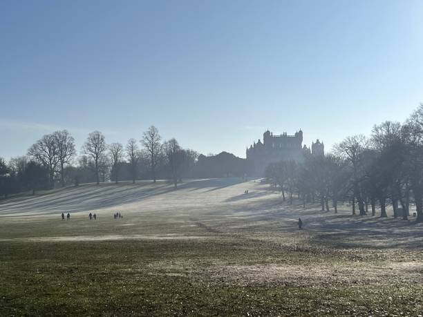 Wollaton park in winter sun