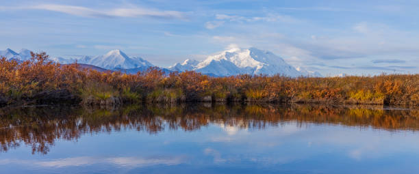 istock Scenic Reflection Landscape in Denali National Park in Autumn 1464512943