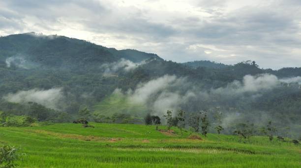 istock Indonesia's beautiful landscapes. 1464513438