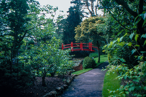 Flowers with bridge over the pond at Rymill Park in Adelaide city on a sunny autumn day