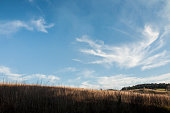 Dry grass on a hillside under a blue sky with clouds