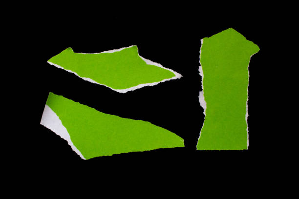 istock Green torn paper pieces isolated on black background 1464528873