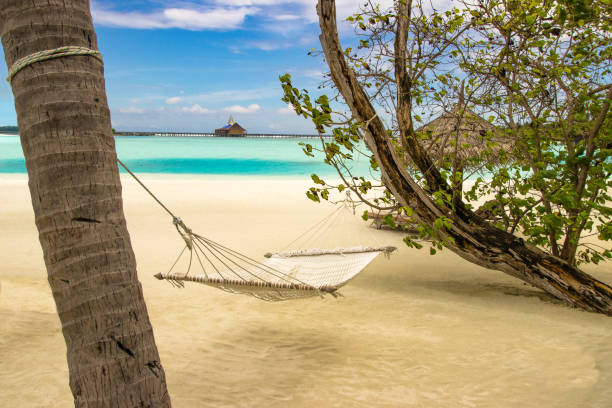 istock Hammock on the beach in the Maldives 1464529177