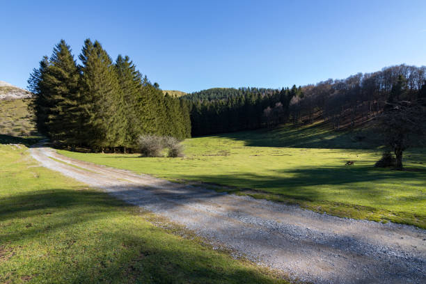 istock View from Arriurdin mountain in the Basque Country (Spain) 1464531539
