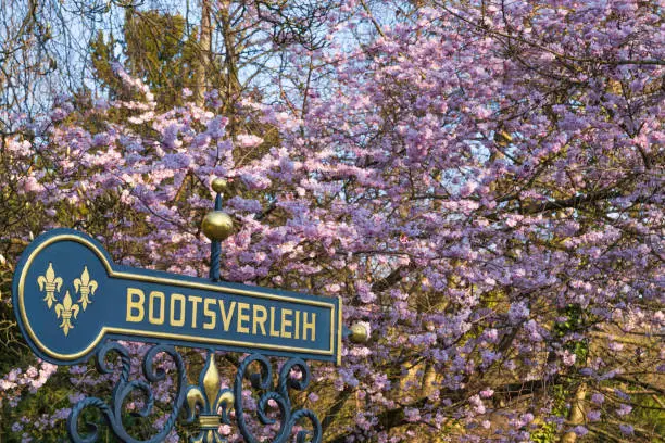 Sign for a boat rental (Bootsverleih) in the Kurpark of Wiesbaden Germany with a blooming Japanese cherry tree in the background