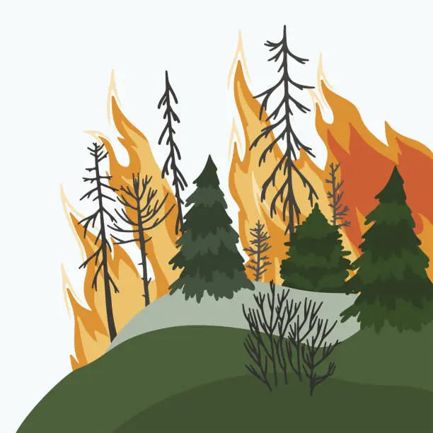 Vector illustration of Forest fire. Dangerous wildfire. Pines in flame.
