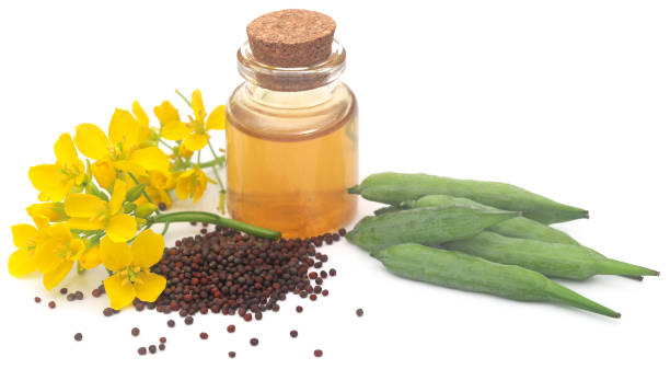 istock Closeup of mustard flowers 1464536066