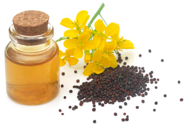 istock Closeup of mustard flowers 1464536123
