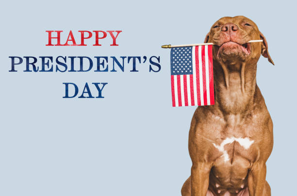 istock Lovable, charming puppy with the American Flag 1464538999