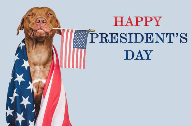 istock Lovable, charming puppy with the American Flag 1464539043