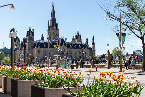 Ottawa, Canada - May 18, 2022: Wellington street in downtown near Parliament Hill buildings in spring.
