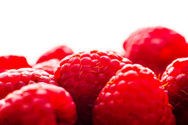 Berries on white background.