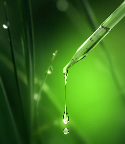 istock Cosmetic pipette with falling drops close-up on a natural blurred background 1464558009