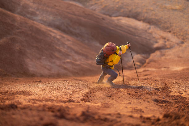 istock In Search of Adventure 1464558033