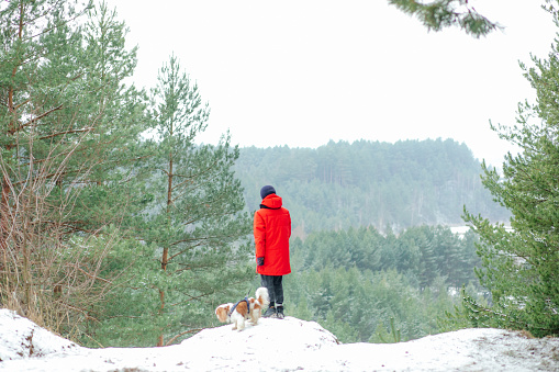 Person with dog stand on cliff edge in winter forest, back view. Trip out of town. Human with pet walking on high hill. Active lifestyle, natural beauty, coniferous forest, picturesque landscape.