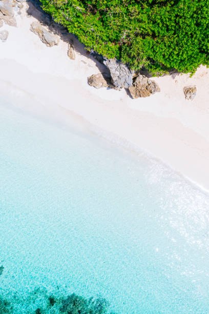 istock Blue ocean, white sand beach and cliffs covered with tropical plants. Bali shores from above. Aerial drone shot. 1464559576