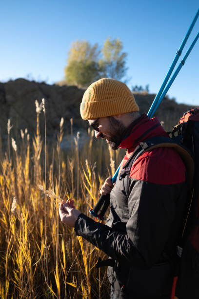 istock In Search of Adventure 1464560799