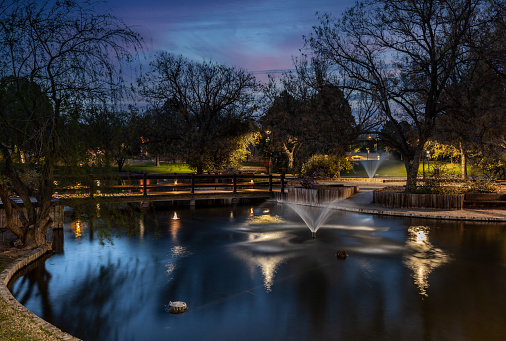 Duck Pond at the University of New Mexico grounds in Albuquerque. It was built in the late 1970's and it has over the decades become a delight to students as well as non-students in the dry desert city.