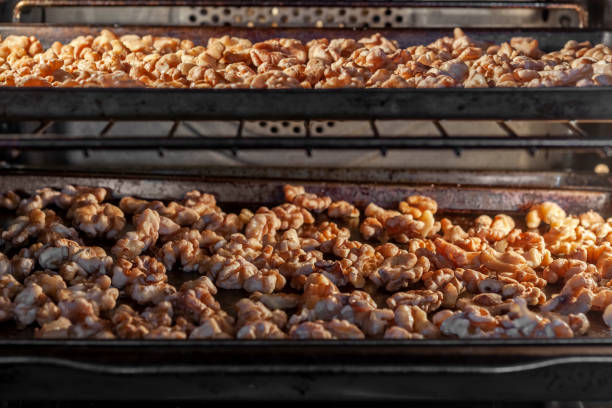 Walnuts drying in oven after rinsing stock photo