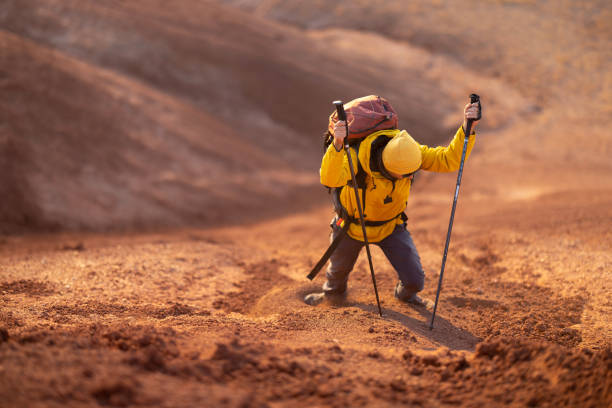 istock In Search of Adventure 1464566158