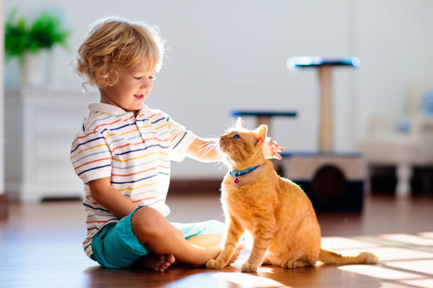 istock Child playing with cat at home. Kids and pets. 1464571616
