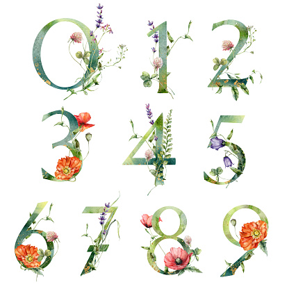 Watercolor numbers set of wild flowers. Hand painted floral symbols isolated on white background. Holiday Illustration for design, print, fabric or background