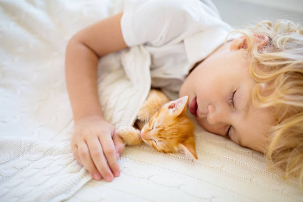istock Baby boy sleeping with kitten. Child and cat. 1464573971