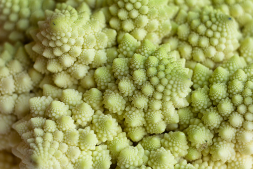 Spiral patterns of romanesco cabbage close up