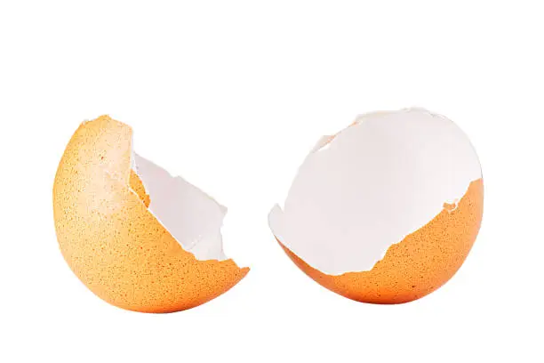 Egg shell isolated on white. Broken chicken egg shell isolated on white