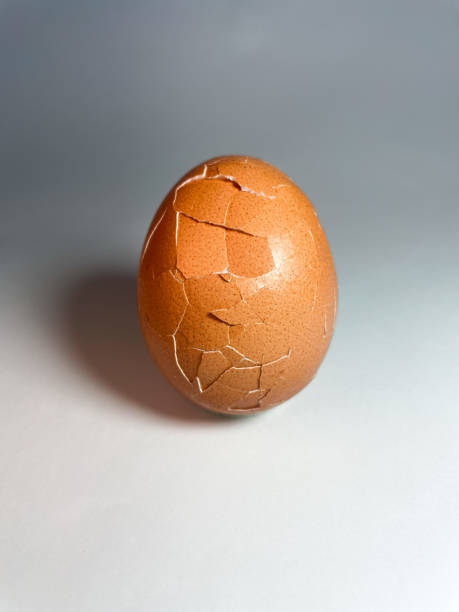 istock Chicken broken, cracked brown egg close-up on a white background 1464576029