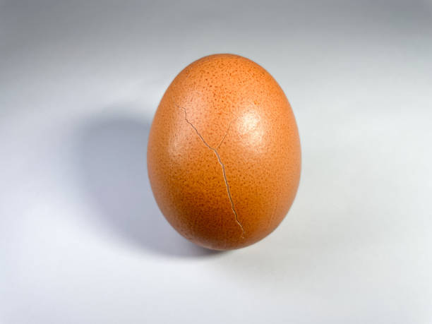 istock Chicken brown egg with a crack close-up on a white background 1464576096