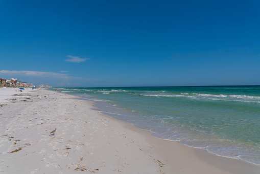 DESTIN, FLORIDA - CIRCA JUNE, 2022: Beach with birds on the white sand shoreline. There are people under the blue beach umbrellas at the front of buildings on the left and a background of blue sky.