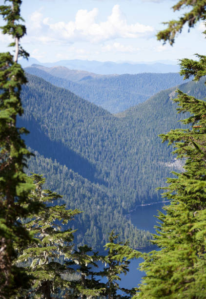 istock The Framed View Outside Ketchikan Town 1464590243