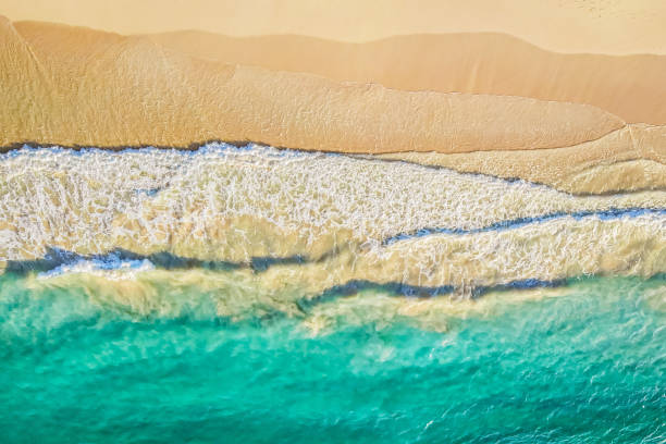 istock Beach and azure sea with waves from top view. 1464593497