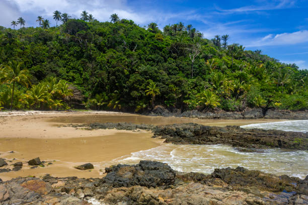 istock Rocks and forest at Camboinha beach 1464595243