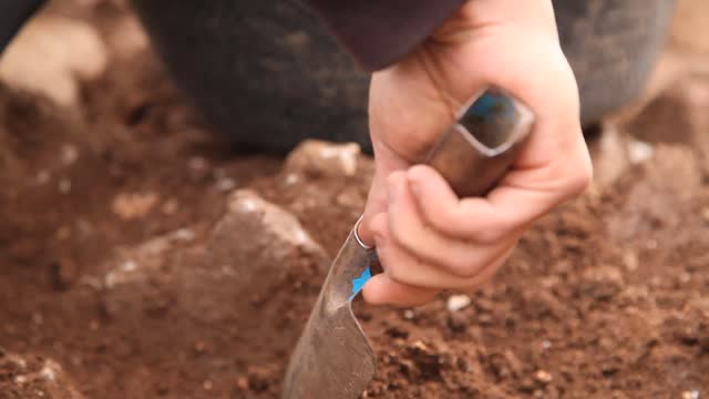 Archaeologist using a trowel on an historical site