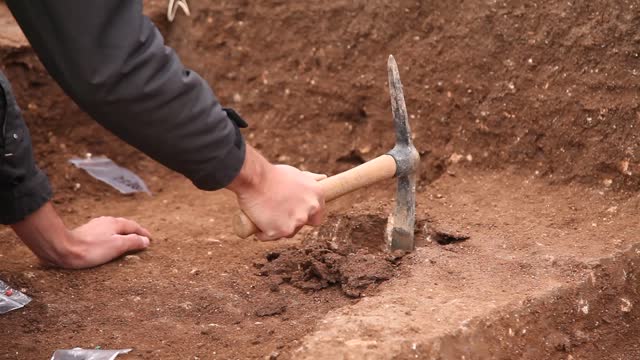 Archaeologist digging with a pickaxe.