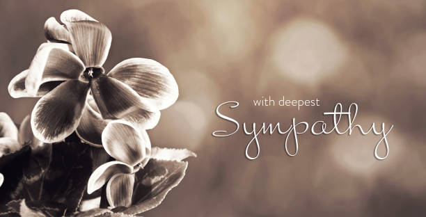 istock Sympathy card with cyclamen flowers 1464596177