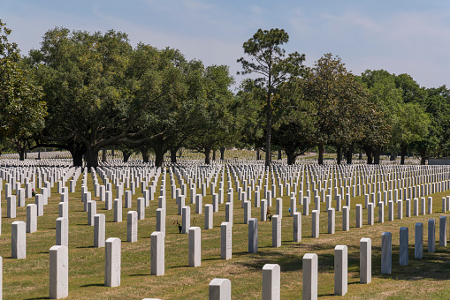 PENSACOLA, FLORIDA - CIRCA JUNE, 2022: Graveyard with trees at Barrancas National Cemetery. Cemetery with white marble vertical headstones on a grass in Cemetery Road.
