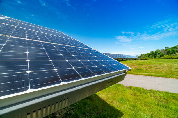 Wide view into large solar panels at farm and bright summer day. Solar cell power plant innovation and technology to reducing carbon footprint and environmental impact. Wide view into large solar panels at farm and bright summer day. Solar cell power plant innovation and technology to reducing carbon footprint and environmental impact. sustainable energy toronto stock pictures, royalty-free photos & images