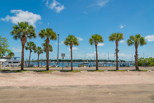 MIAMI, FLORIDA - CIRCA JUNE 2022: Parking lot with palm trees against the boats in the marina. Empty parking lot near the docks at the front of marina against the blue sky background.