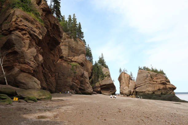 istock Hopewell Rocks Provincial Park at low tide 1464606614