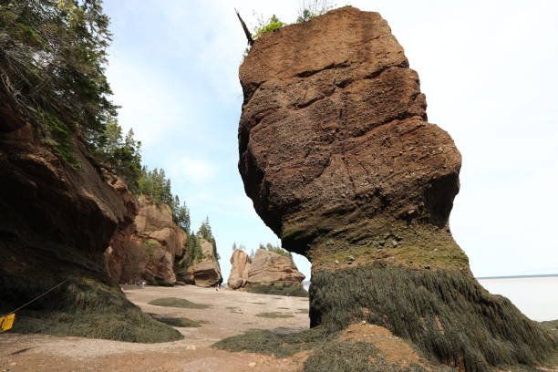 istock Hopewell Rocks Provincial Park at low tide 1464607127