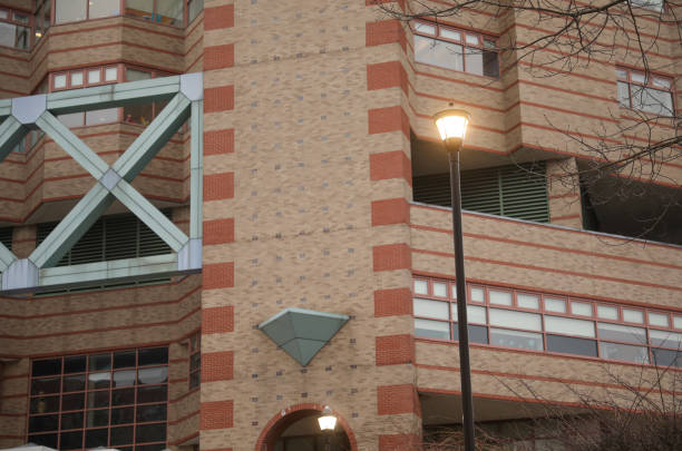 istock Street lamps during evening lighting up urban 1464612116
